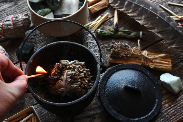 Comment utiliser la Sauge Blanche pour Purifier sa maison